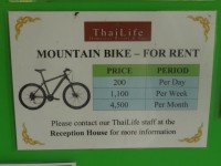 Mountain Bike for Rent - Services