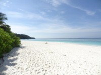 Sirivannavari (Koh Tachai) - Attractions