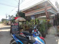 Pinky Cafe - Restaurants