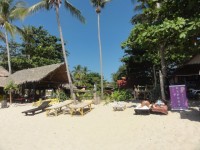 The Expert Massage on the beach - Services
