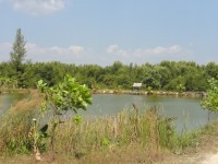 Thung Yee Phuang Fishing Park - Services