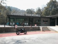 The Terminal - Restaurants