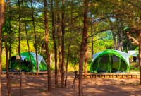 Koh Ra Beach Camp - Accommodation