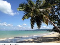 Coconut Beach - Attractions