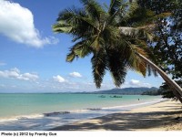 Coconut Beach - Attractions