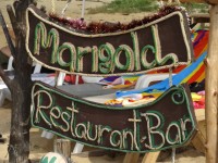 Marigold Restaurant - Restaurants