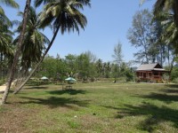 Golden Coconut Resort - Accommodation