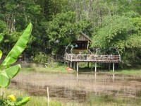 Baan Srimuang - Restaurants