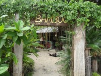 Bamboo Bungalows - Accommodation