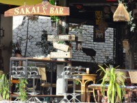 Sakai Bar - Entertainment