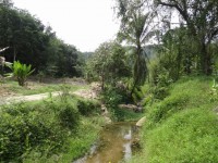 Thung Kamin Road - Attractions
