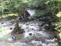 Tao Thong Waterfall - Attractions