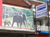 Bus Stop Bang Niang - Services